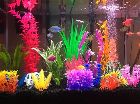 decorative fish tank